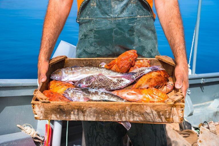 Fisherman holding fresh fish caught during fishing trip in Crete in Greece