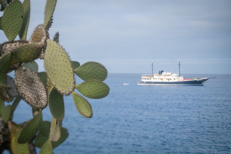 Ocean view of Evolution private yacht in the Galapagos Islands