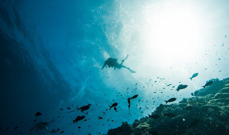 Scuba diver exploring Pacific coast of Panama during private luxury tour