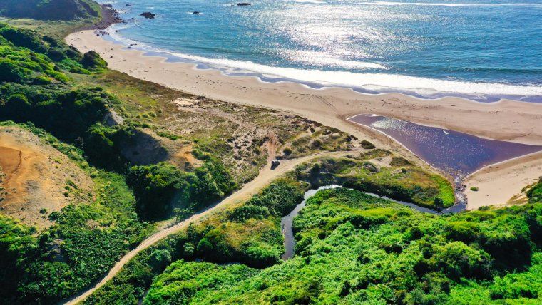 View of the Pacific Coast in Mari Mari Natural Reserve in Chile Patagonia