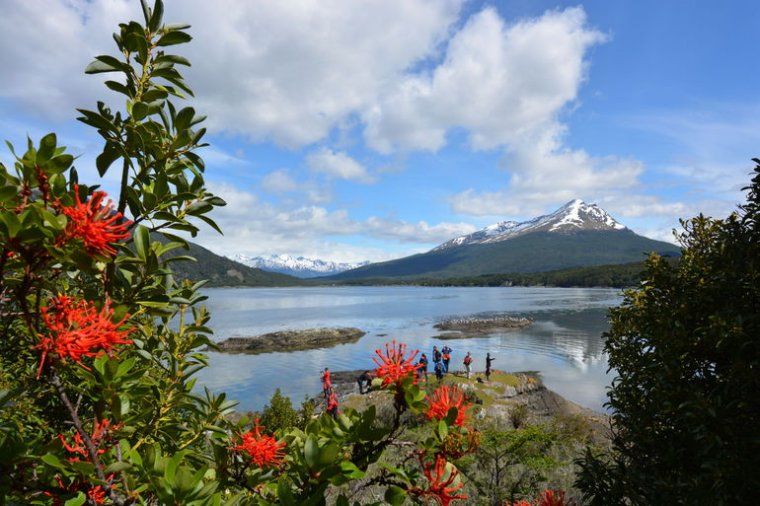 View of lake in Tierra del Fuego National Park in Patagonia
