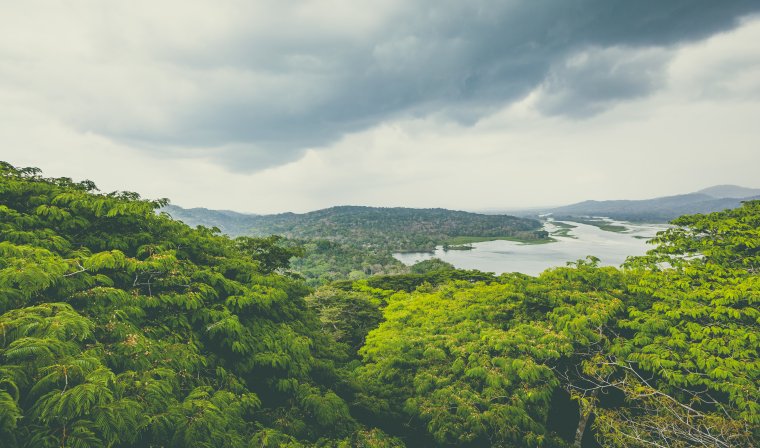 Aerial view of Chagres River and lush jungle in Panama