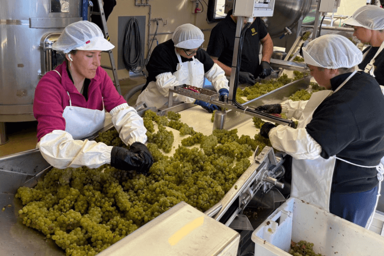 Wine making process demonstrated at vineyard in La Rioja during Spain tour