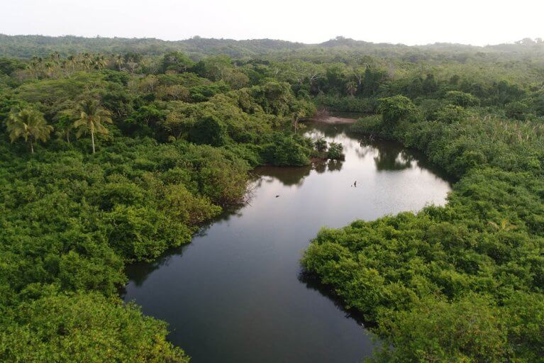 Aerial view of river surrounded by jungle in Panama's Azuero Peninsula