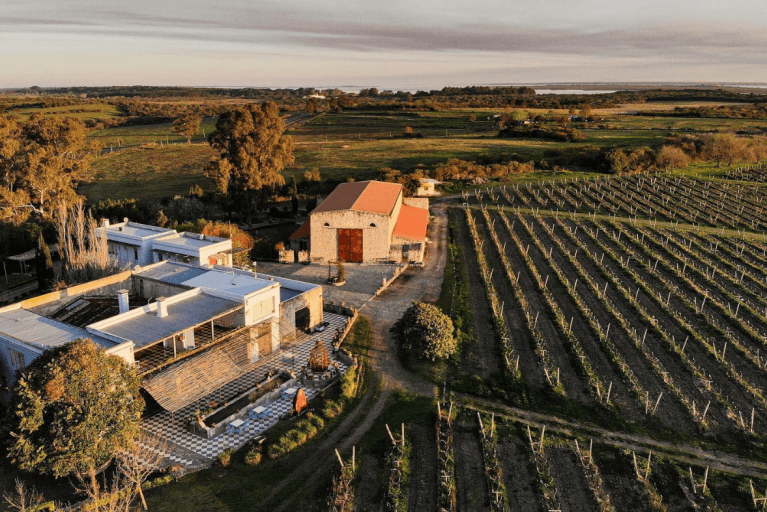 Aerial view of Narbona restaurant and vineyards in Uruguay