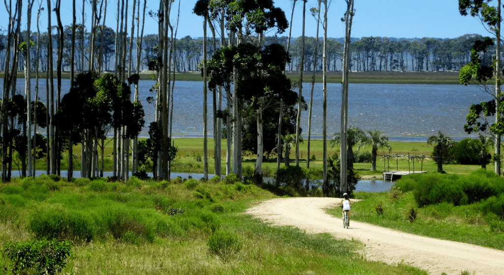 Woman biking in private through Uruguay countryside during luxury vacation