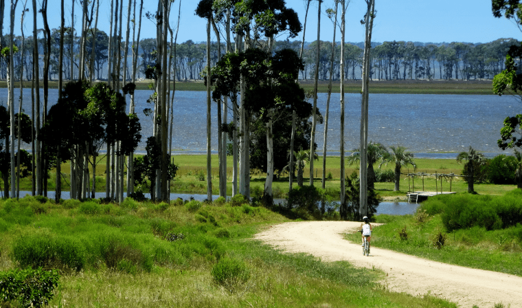 Woman biking in private through Uruguay countryside during luxury vacation