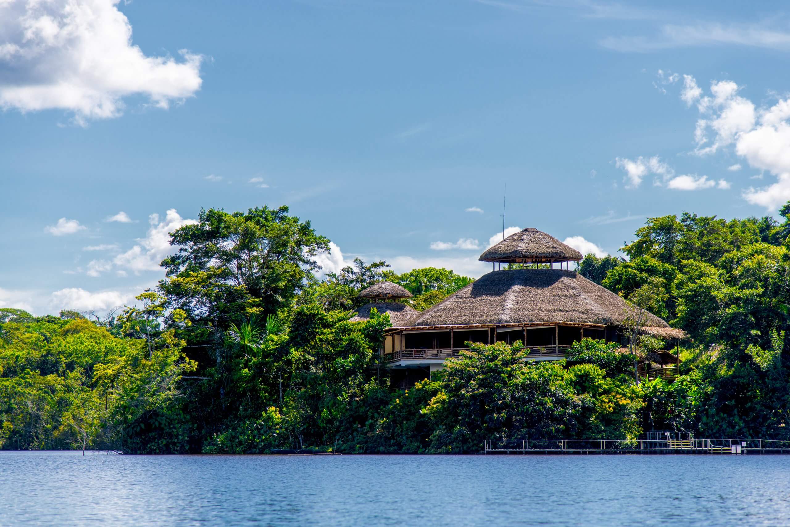 View of La Selva Lodge in the Ecuadorian Amazon during private tour