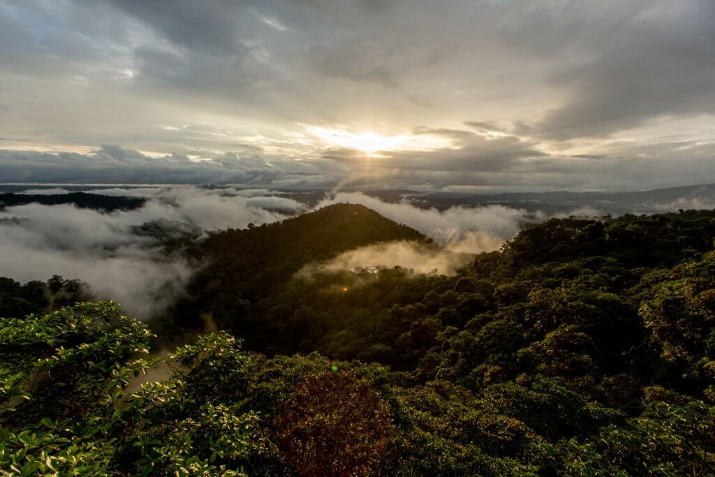 View of cloud forest in Ecuador
