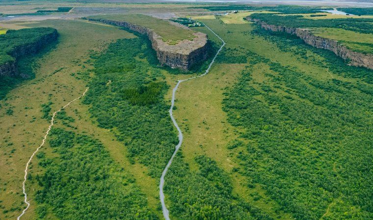 Lush greenery surrounding Ásbyrgi Canyon