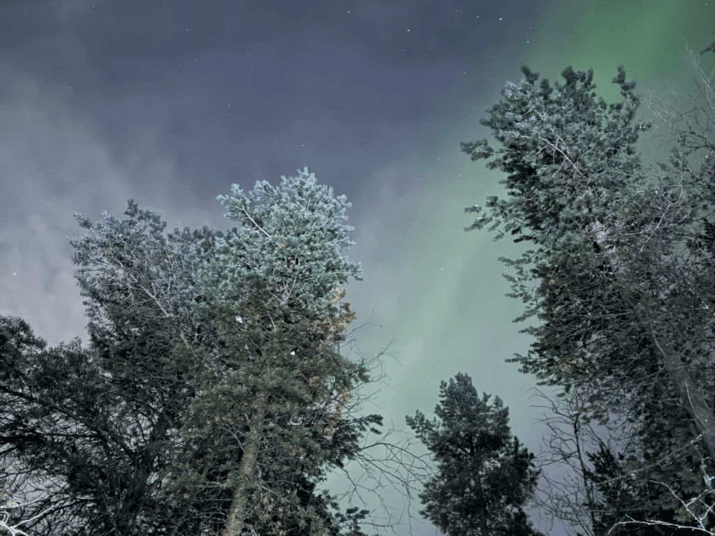 View of the northern lights in Alta during private Arctic adventure in Norway