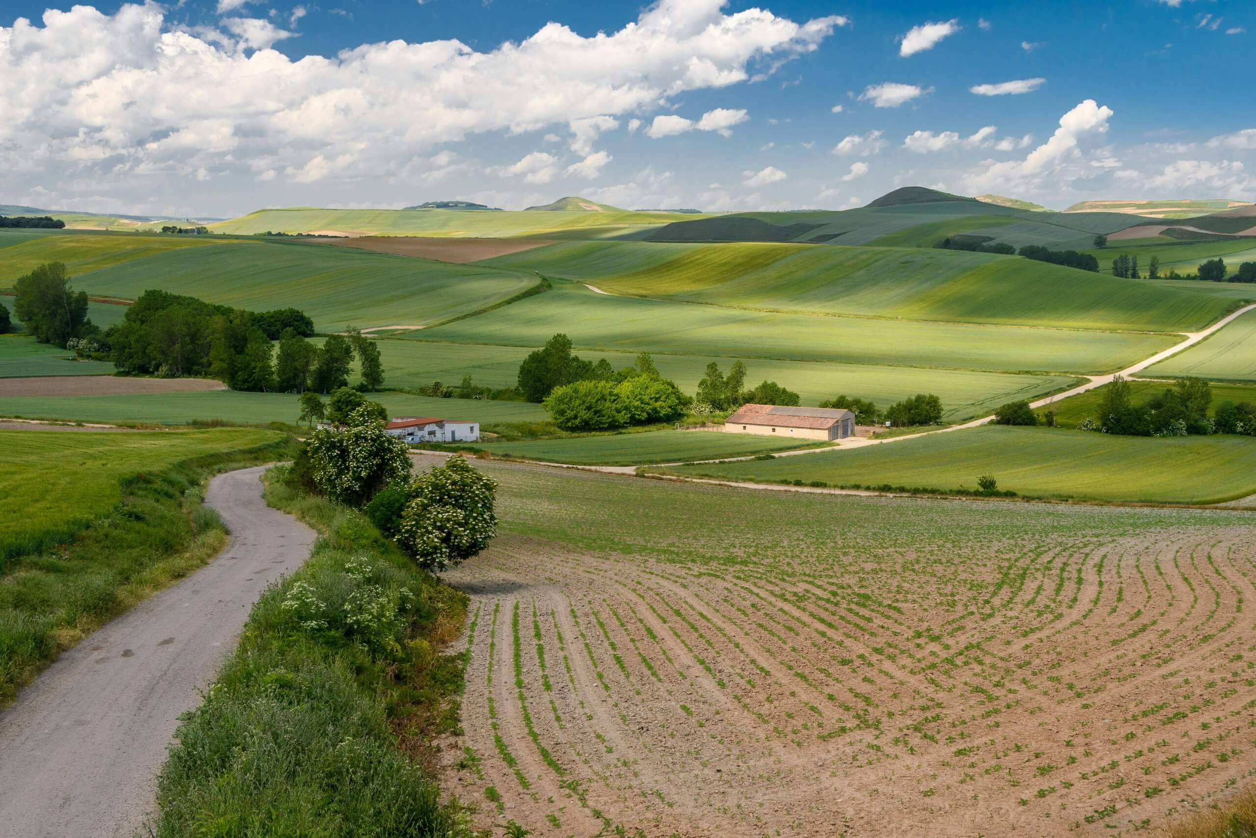 View of rolling vineyards and hills in La Rioja during unique tour in Spain