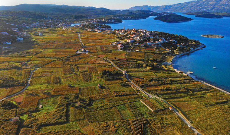 Aerial view of Bire Winery in Korcula in Croatia