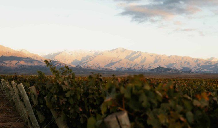 View of wine region and Andes in Argentina