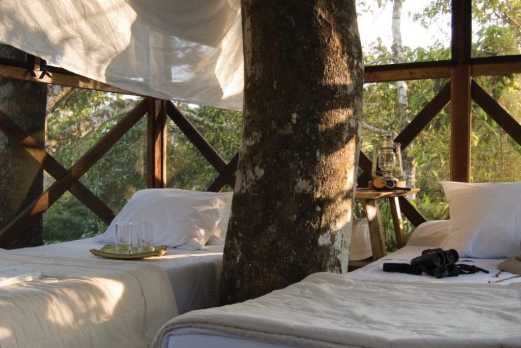 Luxury suite immersed in wildlife at the Inkaterra Reserva Amazonica in Peru