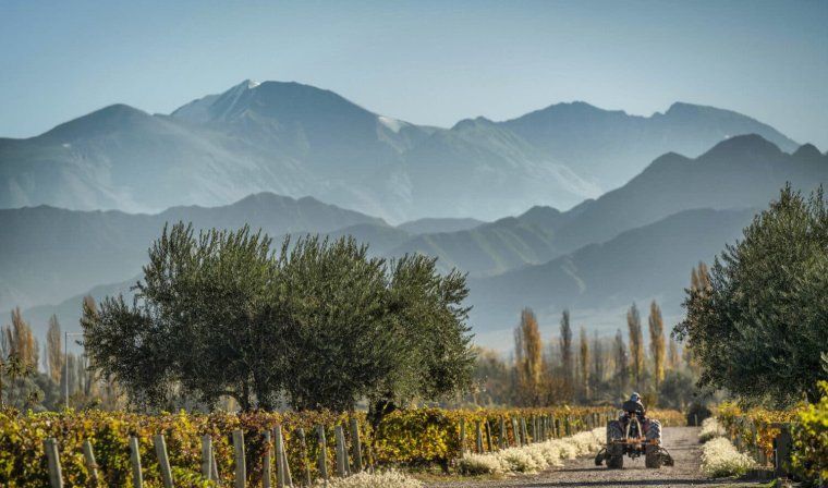 View of Cheval des Andes winery in Argentina