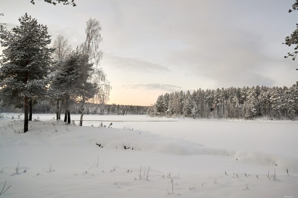 The snowy landscape in Swedish Lapland at Arctic Retreat.