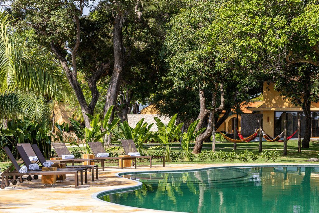The swimming pool with a green hue and trees around it at the Refugio Ecologico Caiman.