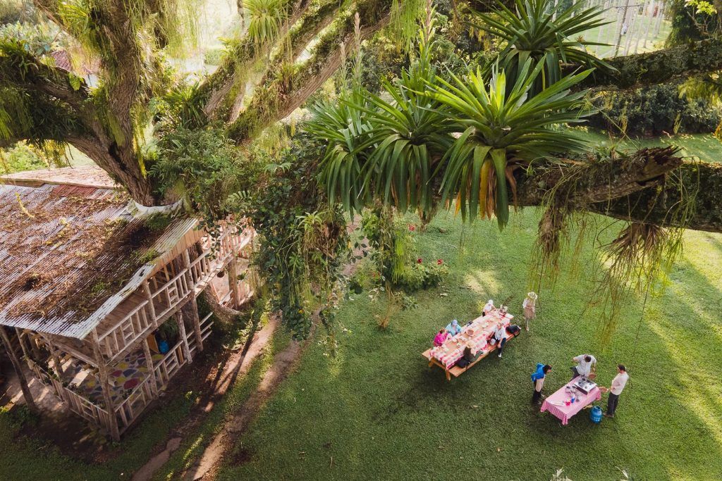 An aerial view of the garden at Hacienda Bambusa with two picnic tables.