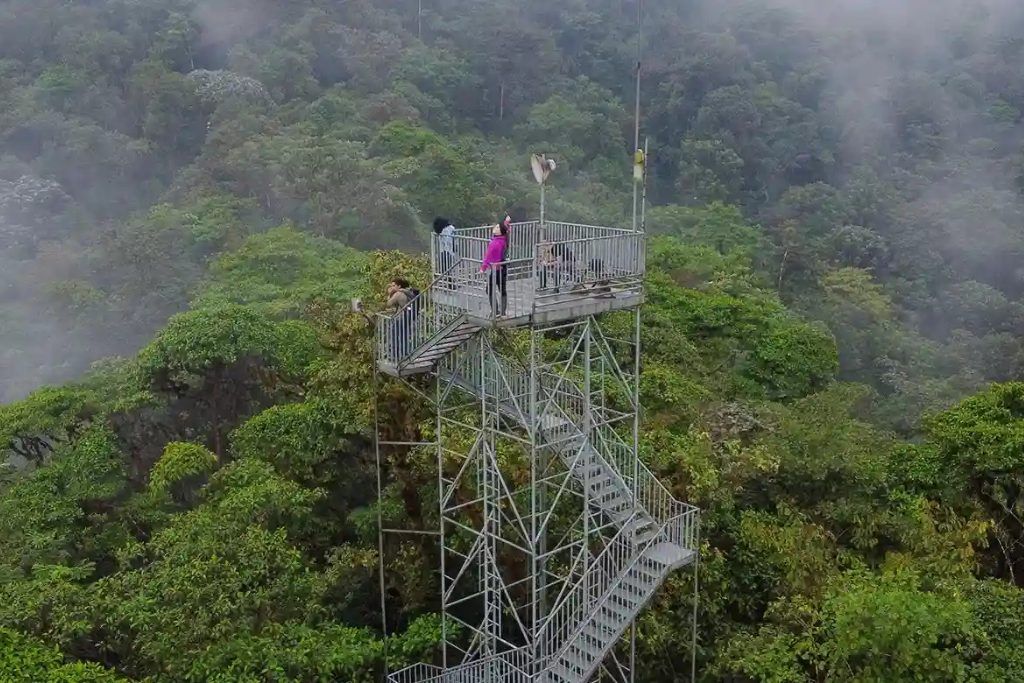 The observation deck with people atop it in the cloud forest at Mashpi Lodge.