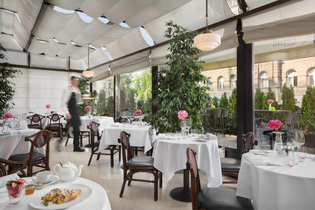 One of the restaurants with tea on a table at Esplanade Zagreb.