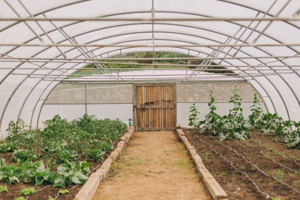 The greenhouse at WHITE Exclusive Suites.