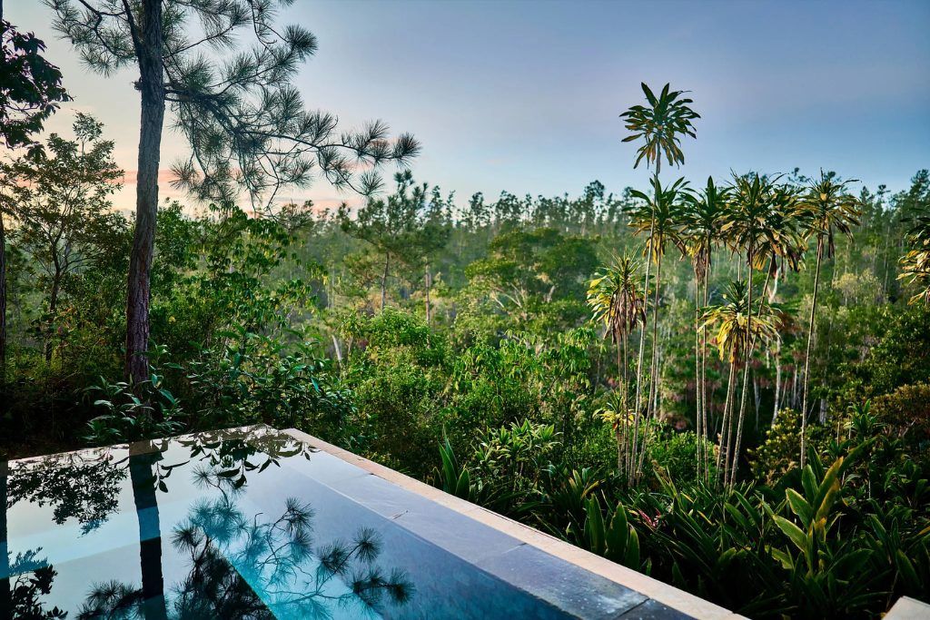 An infinity pool at Blancaneaux Lodge.