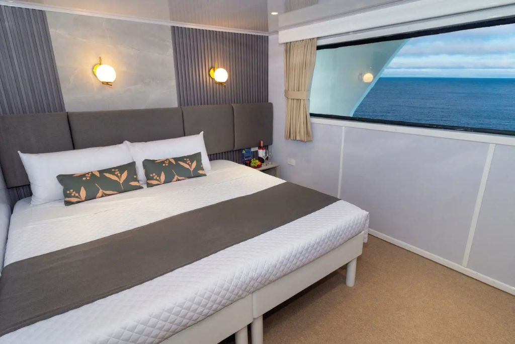 Luxury ocean-view suite on the Galaxy III liveaboard vessel in the Galapagos Islands