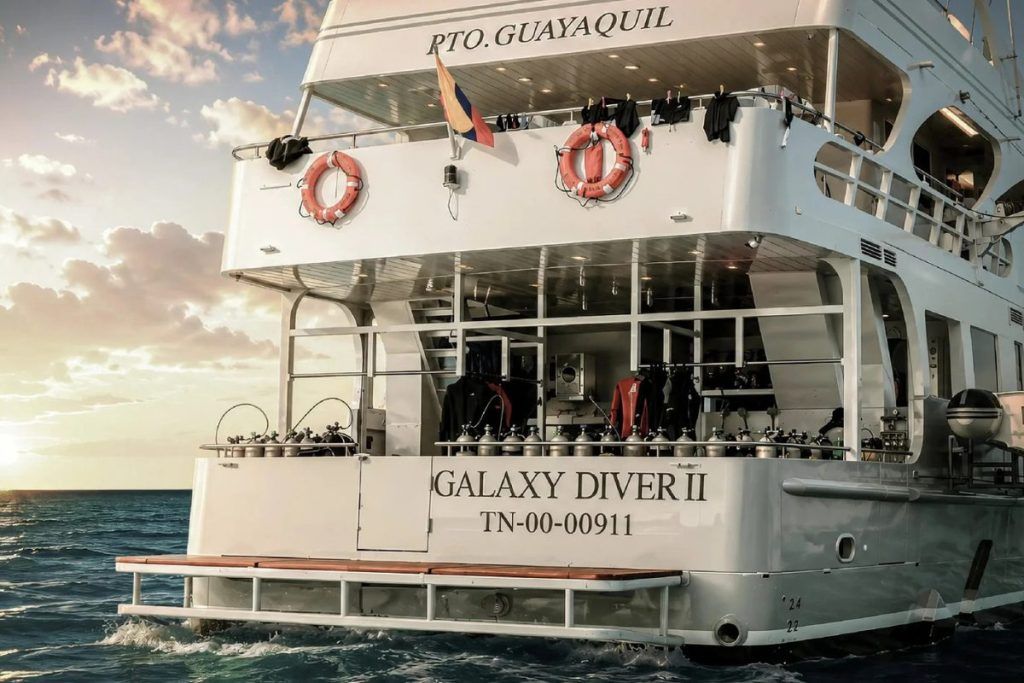 The dive platform on the back of the Galaxy Diver II boat