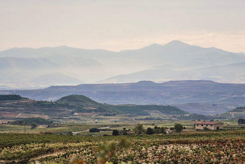 Stunning view of the vineyards at Palacio Samaniego in La Rioja