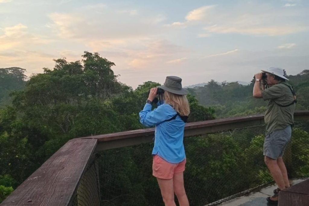 View of luxury travelers enjoying private birding experiences in Panama
