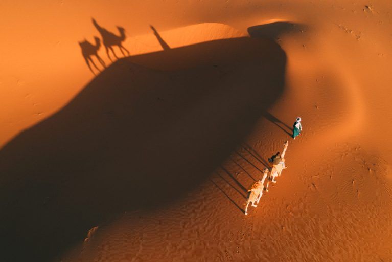 An aerial view of camels on the dunes in the Sahara Desert.