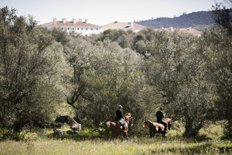 People riding horses in Alentejo.