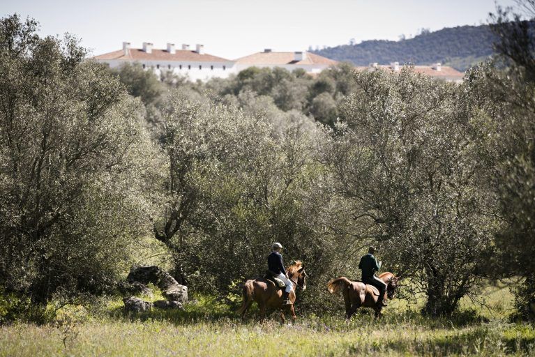 People riding horses in Alentejo.