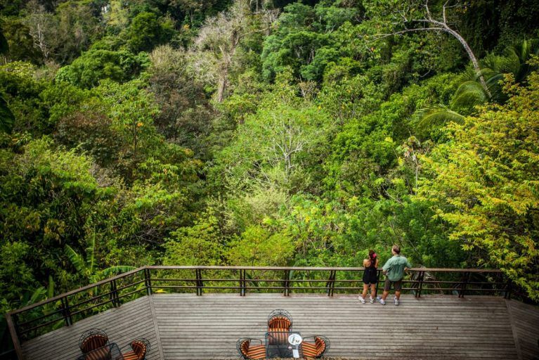 A view of two people looking at the forest at Lapa Rios.