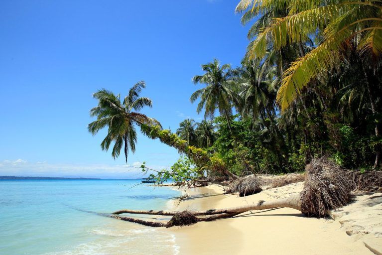A view of Zapatilla Island's white sand beach.