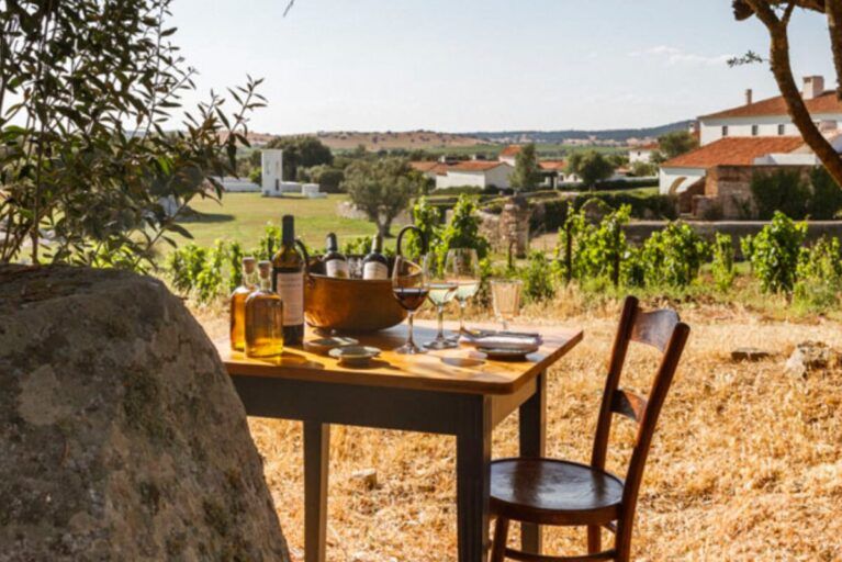 An outdoor wine tasting in Alentejo