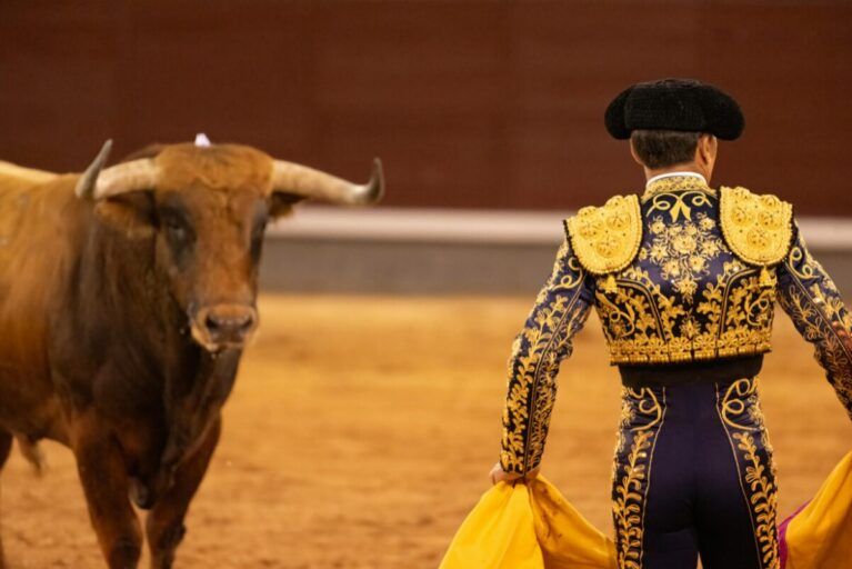 A torero and a bull in Jerez.