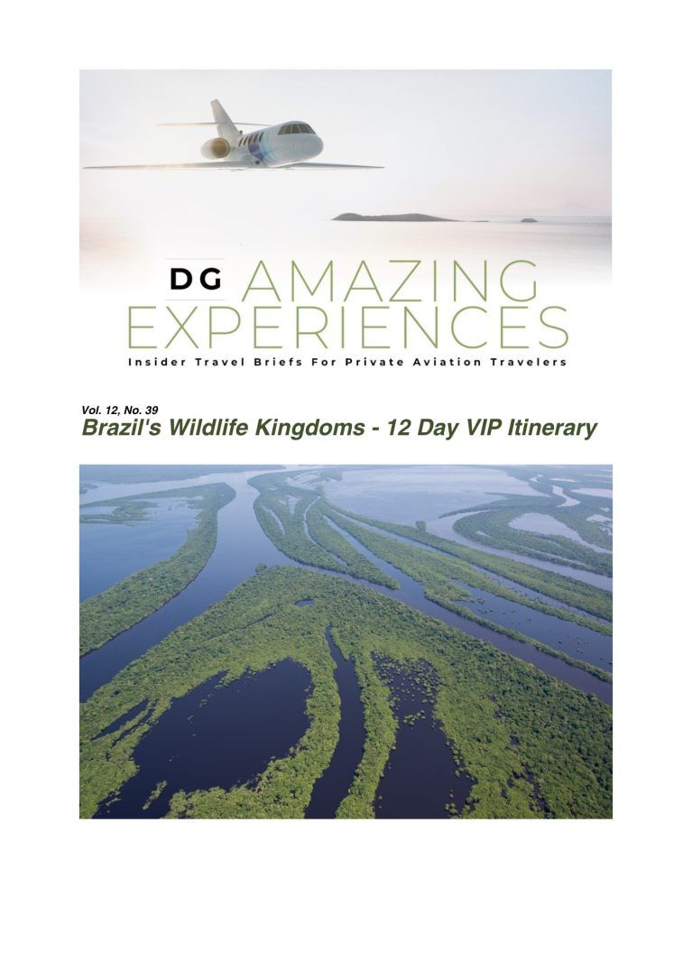 Doug Goulan shares Blue Parallel's private jet itinerary to Brazil